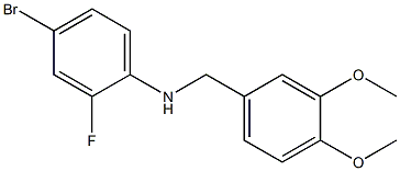 (4-bromo-2-fluorophenyl)(3,4-dimethoxyphenyl)methylamine Structure