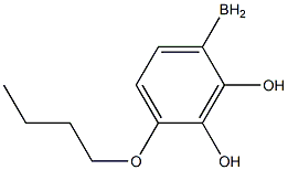 (4-butoxyphenyl)boranediol Structure