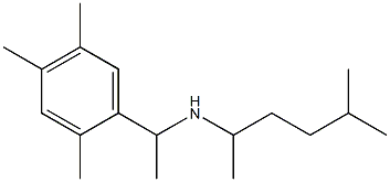 (5-methylhexan-2-yl)[1-(2,4,5-trimethylphenyl)ethyl]amine 구조식 이미지