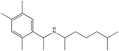 (6-methylheptan-2-yl)[1-(2,4,5-trimethylphenyl)ethyl]amine 구조식 이미지