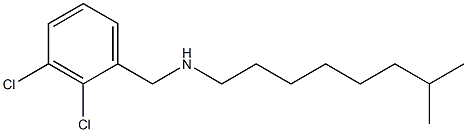 [(2,3-dichlorophenyl)methyl](7-methyloctyl)amine 구조식 이미지