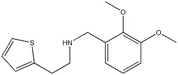 [(2,3-dimethoxyphenyl)methyl][2-(thiophen-2-yl)ethyl]amine 구조식 이미지