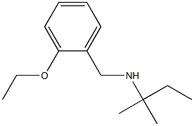 [(2-ethoxyphenyl)methyl](2-methylbutan-2-yl)amine 구조식 이미지