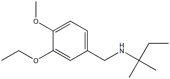 [(3-ethoxy-4-methoxyphenyl)methyl](2-methylbutan-2-yl)amine Structure