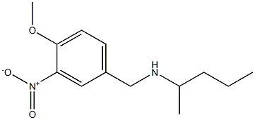 [(4-methoxy-3-nitrophenyl)methyl](pentan-2-yl)amine 구조식 이미지