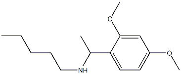 [1-(2,4-dimethoxyphenyl)ethyl](pentyl)amine Structure