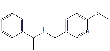 [1-(2,5-dimethylphenyl)ethyl][(6-methoxypyridin-3-yl)methyl]amine Structure