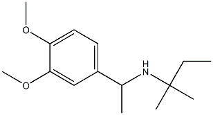 [1-(3,4-dimethoxyphenyl)ethyl](2-methylbutan-2-yl)amine Structure