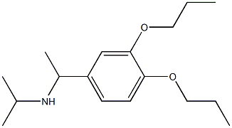 [1-(3,4-dipropoxyphenyl)ethyl](propan-2-yl)amine Structure