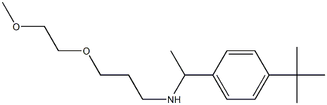 [1-(4-tert-butylphenyl)ethyl][3-(2-methoxyethoxy)propyl]amine 구조식 이미지