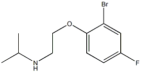 [2-(2-bromo-4-fluorophenoxy)ethyl](propan-2-yl)amine 구조식 이미지