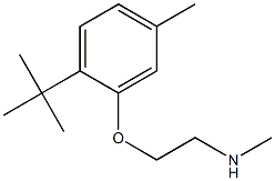 [2-(2-tert-butyl-5-methylphenoxy)ethyl](methyl)amine 구조식 이미지