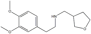 [2-(3,4-dimethoxyphenyl)ethyl](oxolan-3-ylmethyl)amine 구조식 이미지