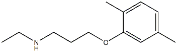 [3-(2,5-dimethylphenoxy)propyl](ethyl)amine 구조식 이미지
