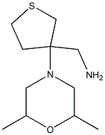 [3-(2,6-dimethylmorpholin-4-yl)tetrahydrothien-3-yl]methylamine 구조식 이미지