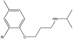 [3-(2-bromo-4-methylphenoxy)propyl](propan-2-yl)amine Structure