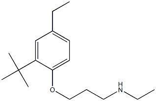 [3-(2-tert-butyl-4-ethylphenoxy)propyl](ethyl)amine 구조식 이미지