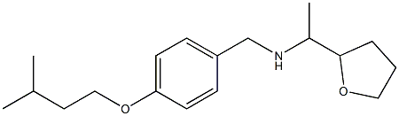 {[4-(3-methylbutoxy)phenyl]methyl}[1-(oxolan-2-yl)ethyl]amine Structure