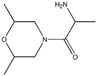 1-(2,6-dimethylmorpholin-4-yl)-1-oxopropan-2-amine Structure