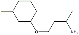 1-(3-aminobutoxy)-3-methylcyclohexane 구조식 이미지
