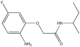 2-(2-amino-5-fluorophenoxy)-N-(sec-butyl)acetamide 구조식 이미지