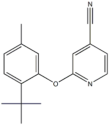2-(2-tert-butyl-5-methylphenoxy)pyridine-4-carbonitrile Structure