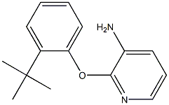 2-(2-tert-butylphenoxy)pyridin-3-amine 구조식 이미지