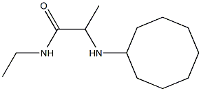 2-(cyclooctylamino)-N-ethylpropanamide Structure