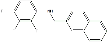 2,3,4-trifluoro-N-(naphthalen-2-ylmethyl)aniline Structure