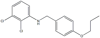 2,3-dichloro-N-[(4-propoxyphenyl)methyl]aniline 구조식 이미지