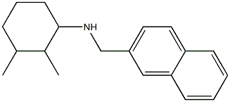2,3-dimethyl-N-(naphthalen-2-ylmethyl)cyclohexan-1-amine Structure