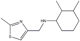 2,3-dimethyl-N-[(2-methyl-1,3-thiazol-4-yl)methyl]cyclohexan-1-amine 구조식 이미지