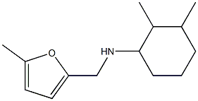 2,3-dimethyl-N-[(5-methylfuran-2-yl)methyl]cyclohexan-1-amine Structure