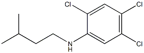 2,4,5-trichloro-N-(3-methylbutyl)aniline Structure