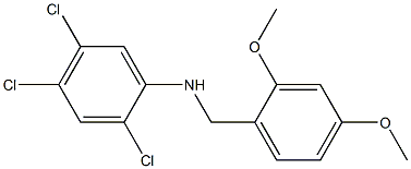 2,4,5-trichloro-N-[(2,4-dimethoxyphenyl)methyl]aniline 구조식 이미지
