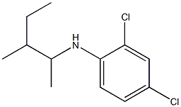 2,4-dichloro-N-(3-methylpentan-2-yl)aniline 구조식 이미지