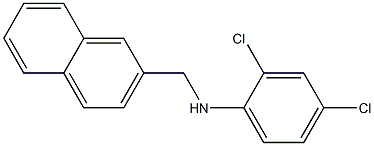 2,4-dichloro-N-(naphthalen-2-ylmethyl)aniline 구조식 이미지