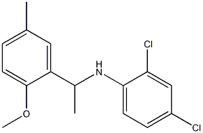2,4-dichloro-N-[1-(2-methoxy-5-methylphenyl)ethyl]aniline Structure