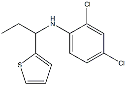 2,4-dichloro-N-[1-(thiophen-2-yl)propyl]aniline Structure