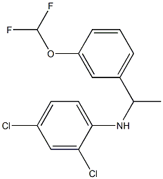 2,4-dichloro-N-{1-[3-(difluoromethoxy)phenyl]ethyl}aniline 구조식 이미지