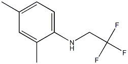 2,4-dimethyl-N-(2,2,2-trifluoroethyl)aniline 구조식 이미지