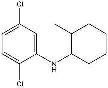 2,5-dichloro-N-(2-methylcyclohexyl)aniline Structure