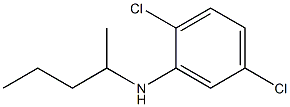 2,5-dichloro-N-(pentan-2-yl)aniline 구조식 이미지