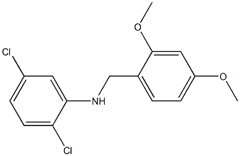 2,5-dichloro-N-[(2,4-dimethoxyphenyl)methyl]aniline 구조식 이미지