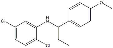 2,5-dichloro-N-[1-(4-methoxyphenyl)propyl]aniline 구조식 이미지