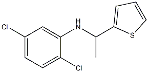 2,5-dichloro-N-[1-(thiophen-2-yl)ethyl]aniline 구조식 이미지