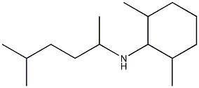 2,6-dimethyl-N-(5-methylhexan-2-yl)cyclohexan-1-amine 구조식 이미지