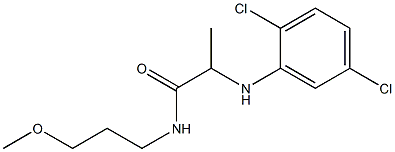 2-[(2,5-dichlorophenyl)amino]-N-(3-methoxypropyl)propanamide 구조식 이미지