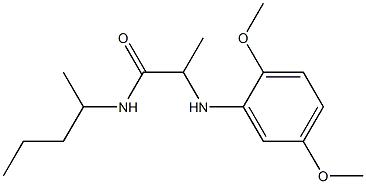 2-[(2,5-dimethoxyphenyl)amino]-N-(pentan-2-yl)propanamide 구조식 이미지