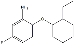 2-[(2-ethylcyclohexyl)oxy]-5-fluoroaniline Structure